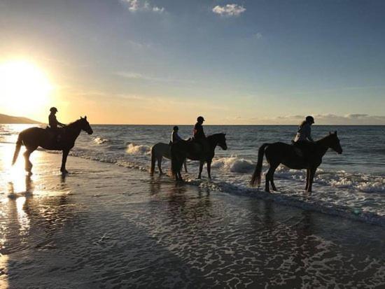 Les Pieds Dans L'Eau - Acces Direct A La Plage Bernieres-sur-Mer Exterior photo